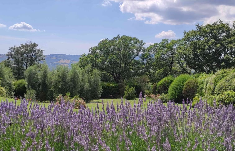 Natuurhuisje in Roccalbegna