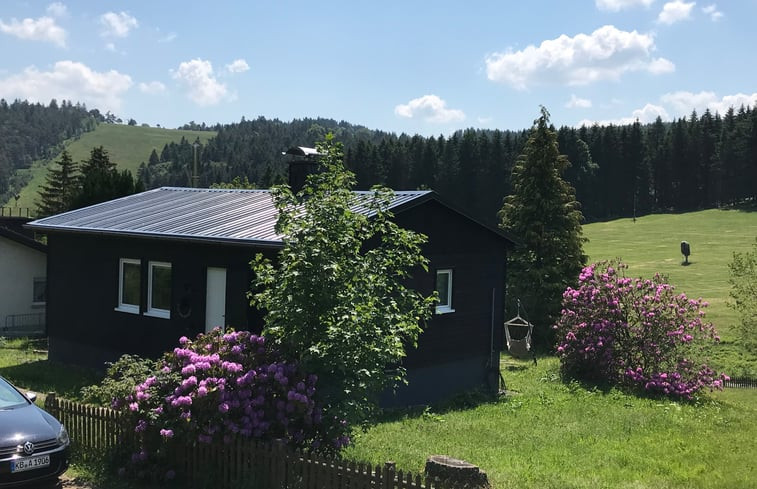 Natuurhuisje in Willingen