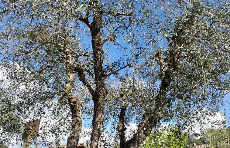 Natuurhuisje in Orvieto