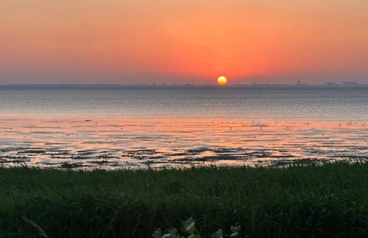 Natuurhuisje in Westerland