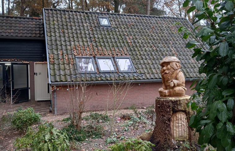 Natuurhuisje in Ommen