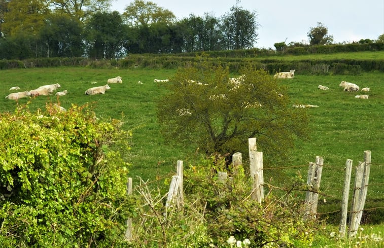 Natuurhuisje in Nouhant