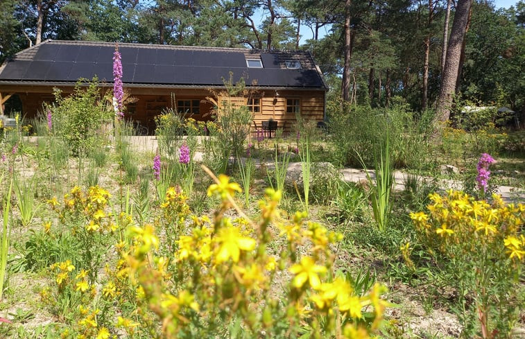 Natuurhuisje in Norg