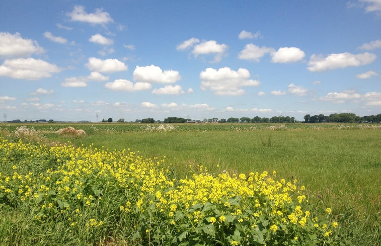 Natuurhuisje in Wezep/Oldebroek