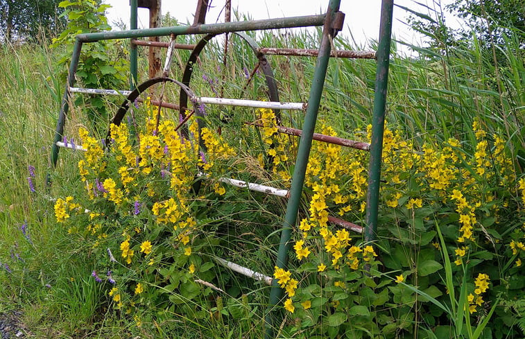 Natuurhuisje in Feanwâlden