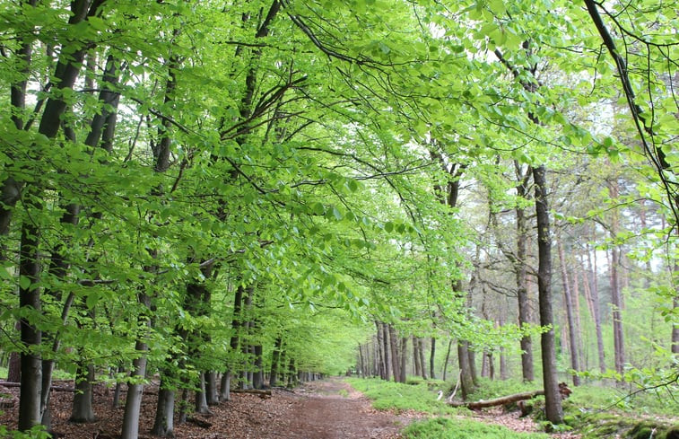 Natuurhuisje in Epe