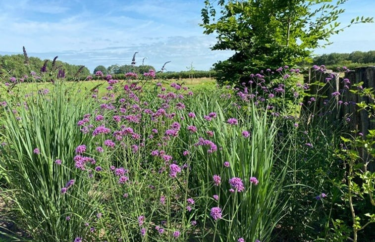 Natuurhuisje in Dalerveen