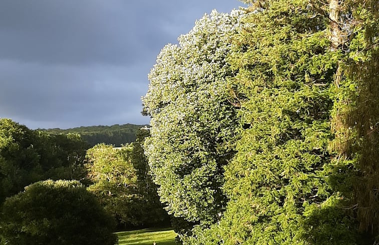 Natuurhuisje in Vallière