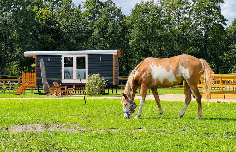 Natuurhuisje in Ledeacker