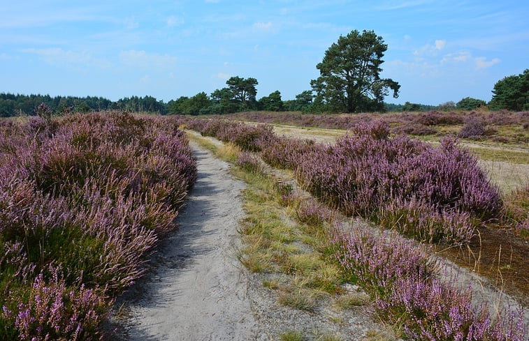 Natuurhuisje in Hapert