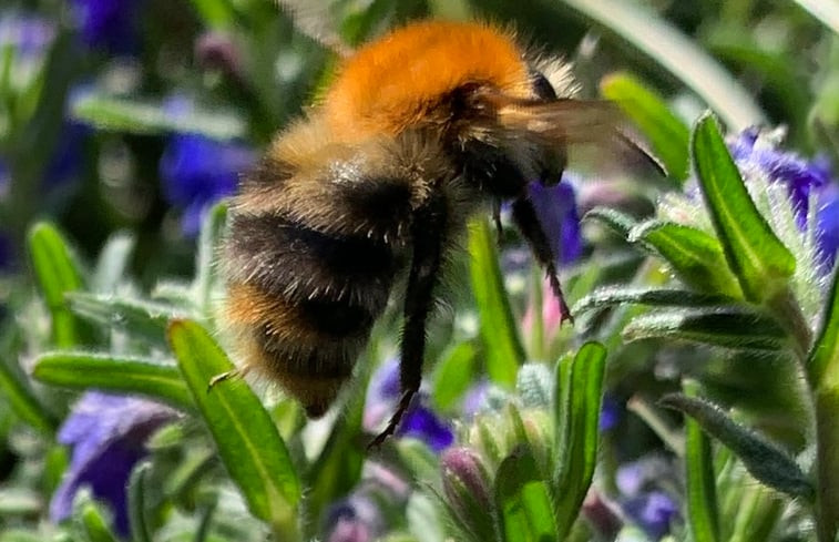 Natuurhuisje in Norg