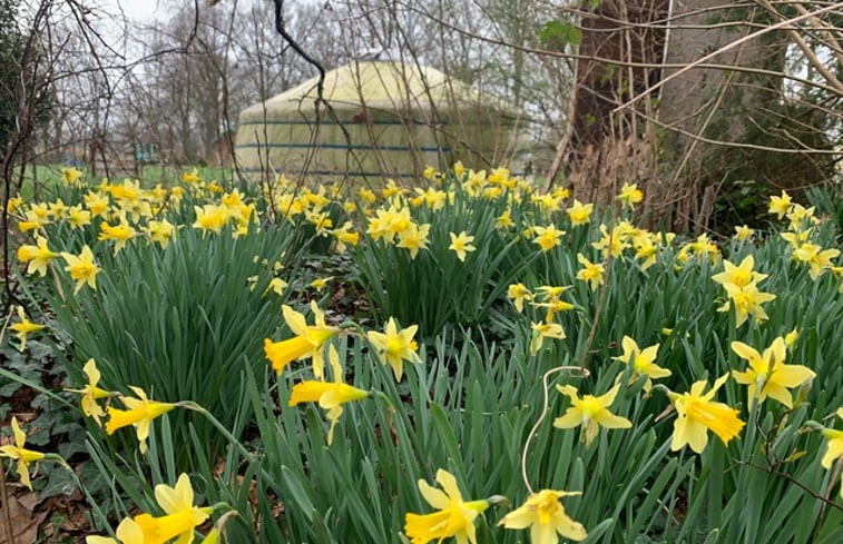 Natuurhuisje in Neede