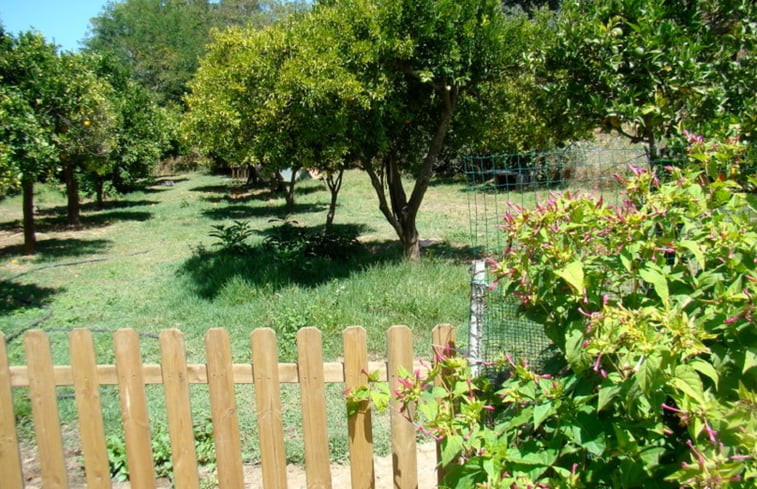 Natuurhuisje in Cercal do Alentejo