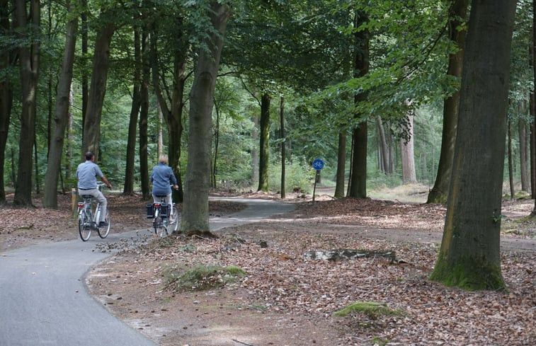 Natuurhuisje in Schoonoord