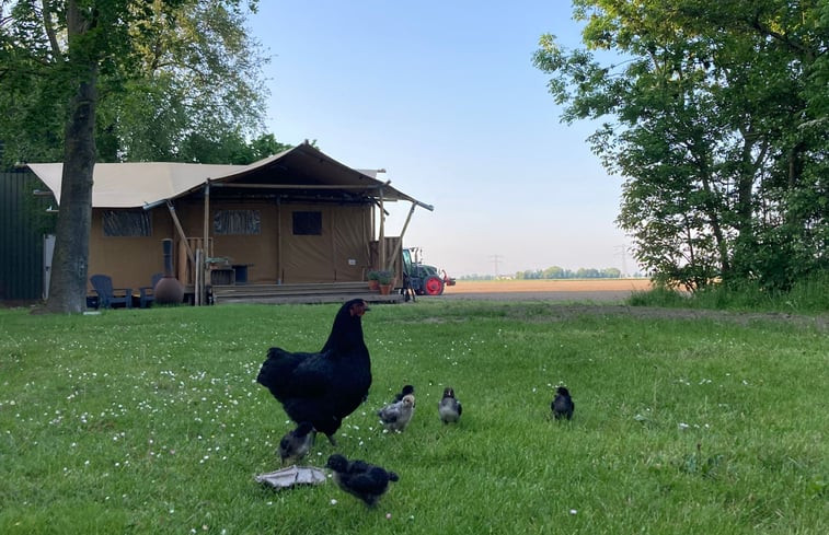 Natuurhuisje in Marknesse