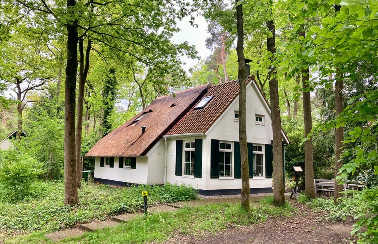 Natuurhuisje in IJhorst