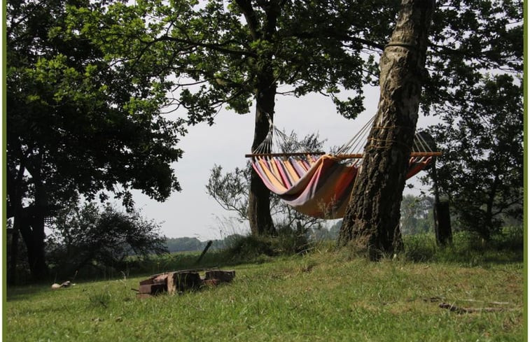 Natuurhuisje in Ommen