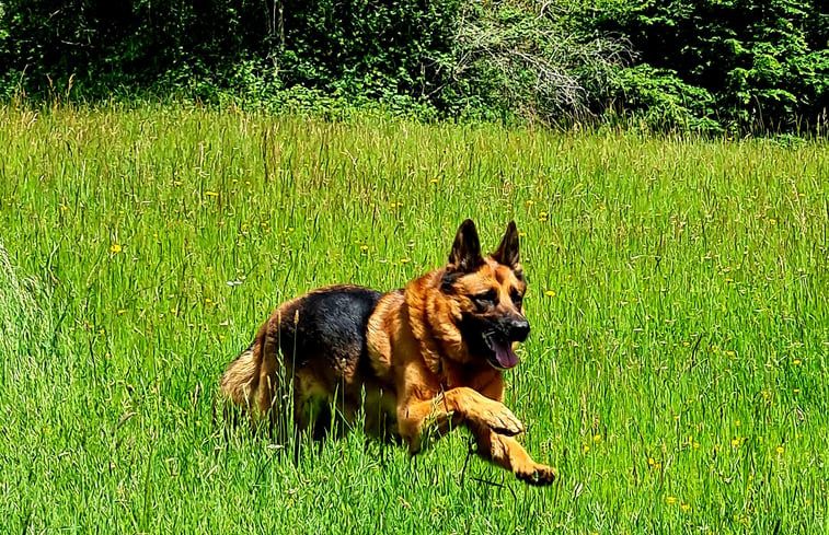 Natuurhuisje in Livry