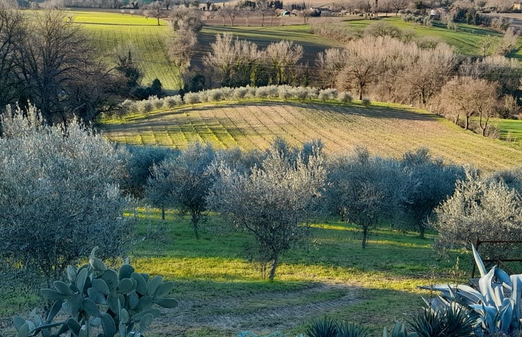 Natuurhuisje in Terre Roveresche-Barchi (PU)