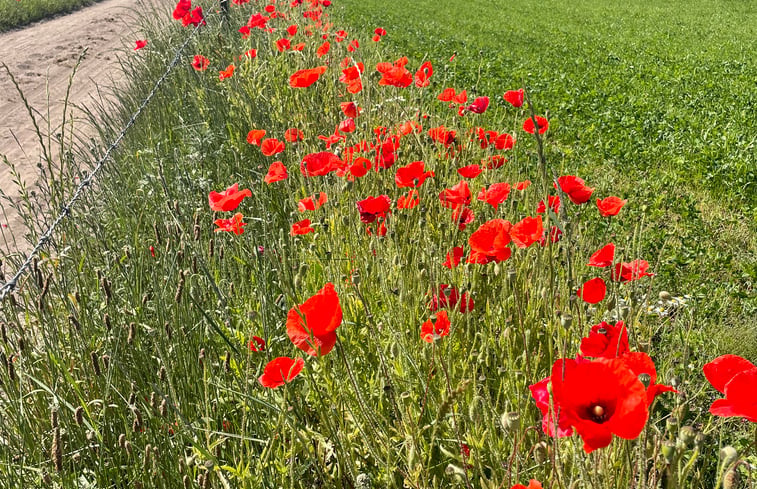 Natuurhuisje in Lunteren