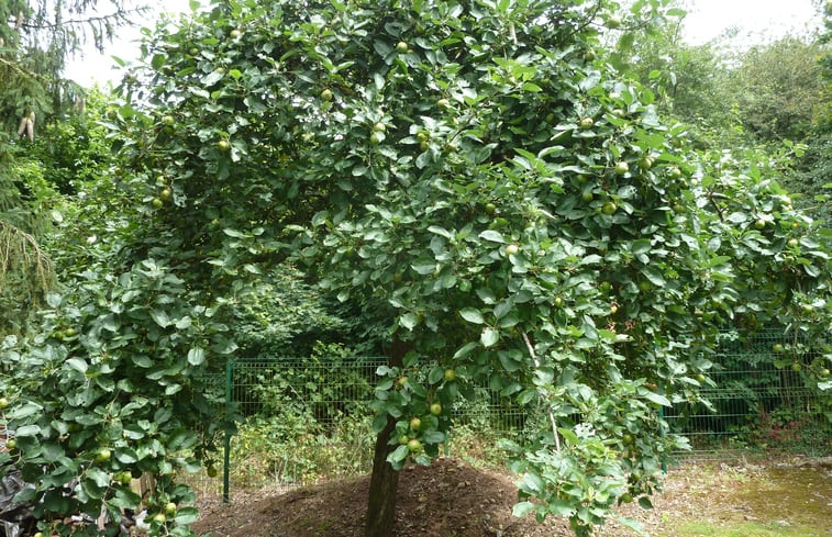 Natuurhuisje in Doische