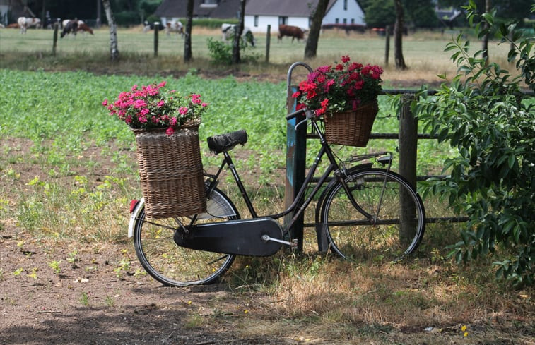 Natuurhuisje in Stroe