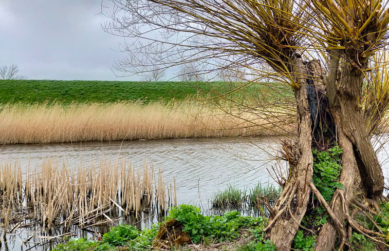 Natuurhuisje in Breezand