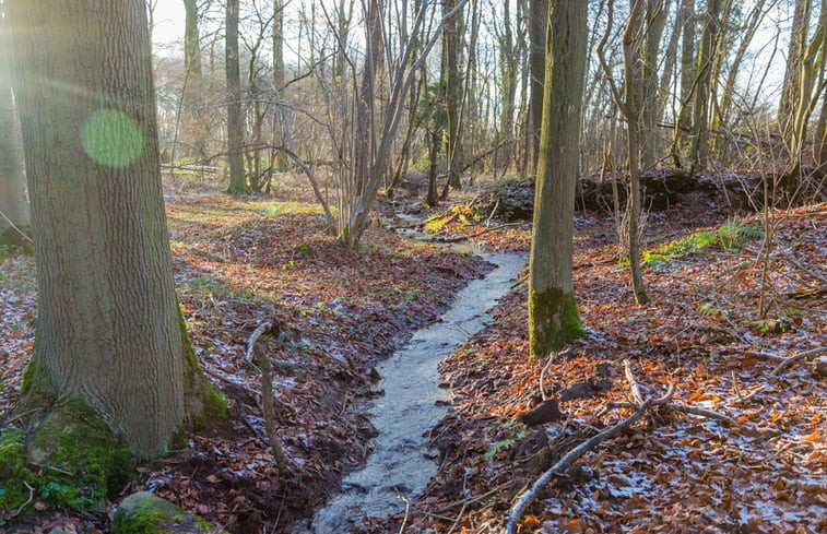 Natuurhuisje in Jurbise