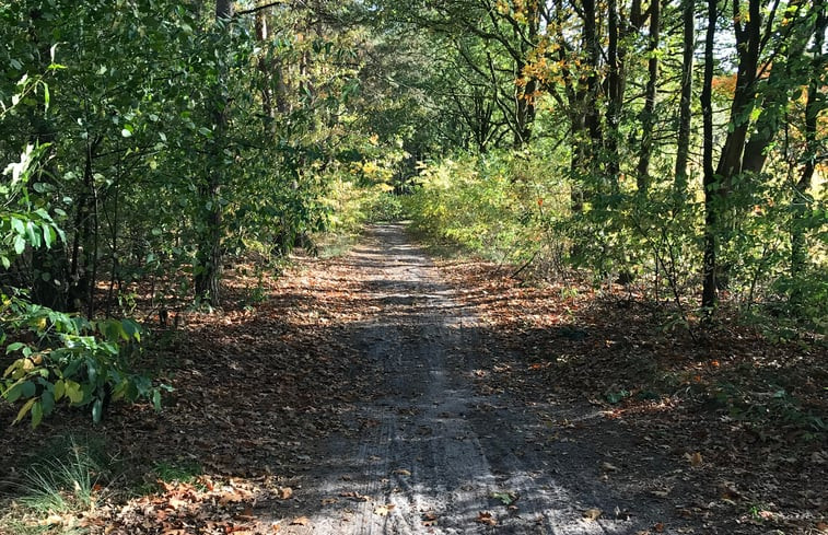 Natuurhuisje in Baarle-Nassau