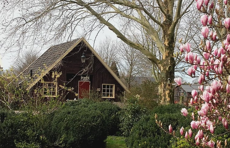 Natuurhuisje in Vorden