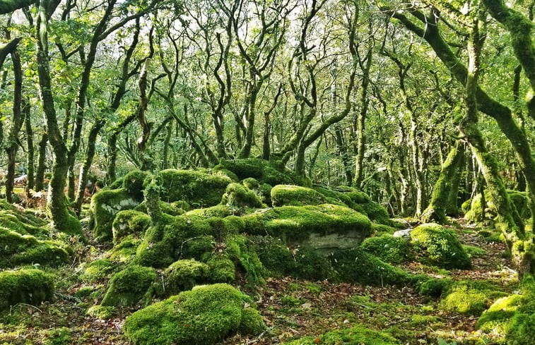 Natuurhuisje in Ploerdut