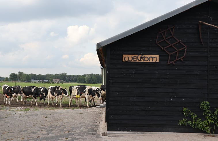 Natuurhuisje in Achterveld