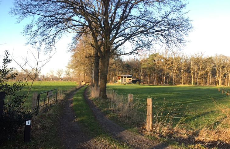 Natuurhuisje in Lettele