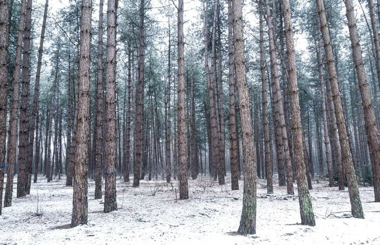 Natuurhuisje in Hechtel-Eksel