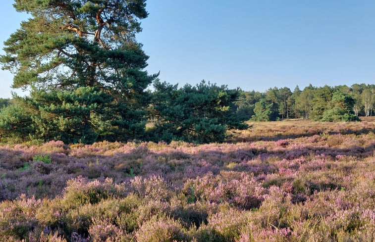 Natuurhuisje in Epe Veluwe