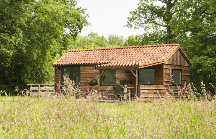 Natuurhuisje in Anderen