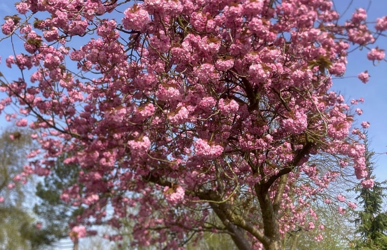 Natuurhuisje in Groet