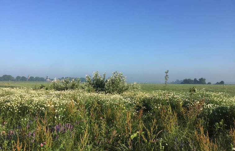 Natuurhuisje in Klein Garnwerd