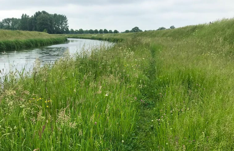 Natuurhuisje in Geesteren