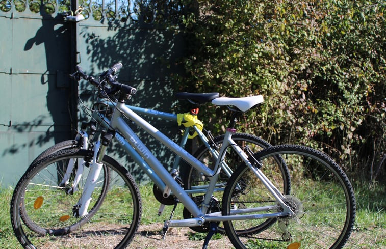 Natuurhuisje in La Membrolle sur Choisille