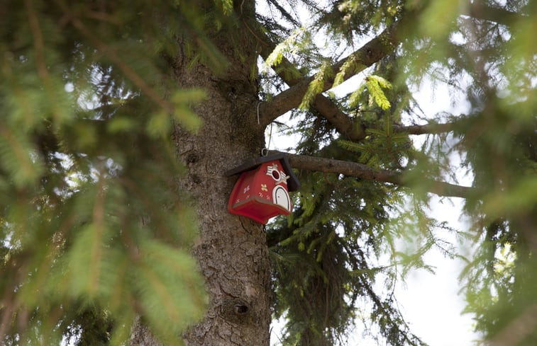 Natuurhuisje in Spiazzi di Caprino Veronese