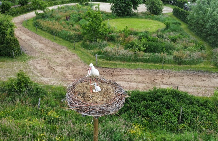 Natuurhuisje in Elim