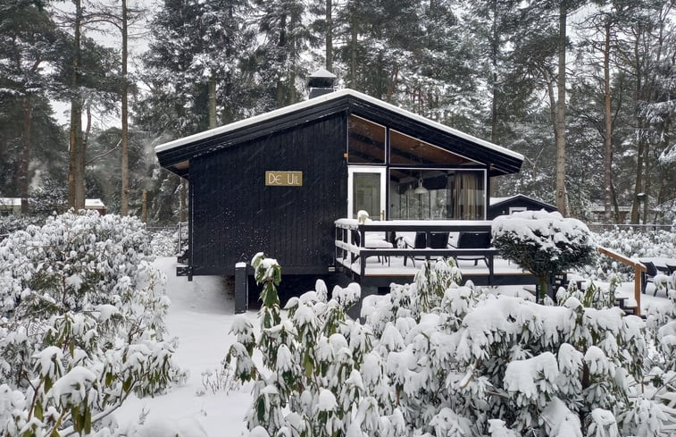 Natuurhuisje in Holten