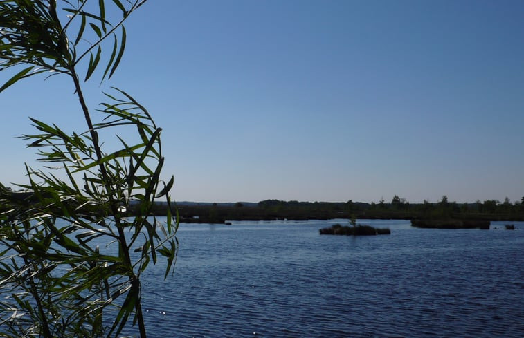 Natuurhuisje in Dwingeloo / Lhee