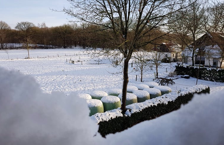 Natuurhuisje in Darp