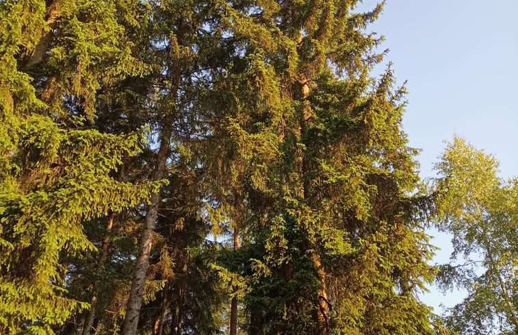 Natuurhuisje in Waal