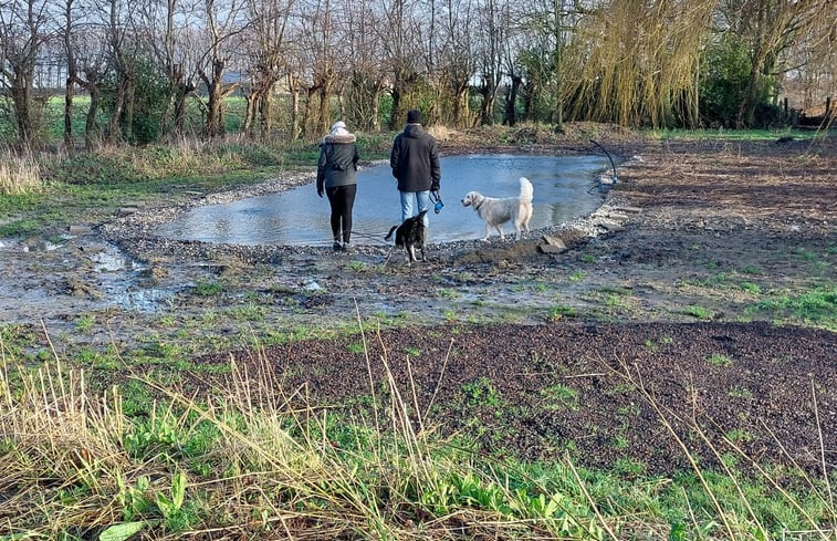 Natuurhuisje in Graauw