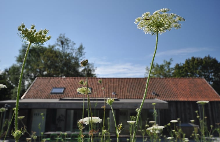 Natuurhuisje in Lievegem