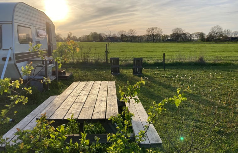 Natuurhuisje in Halle