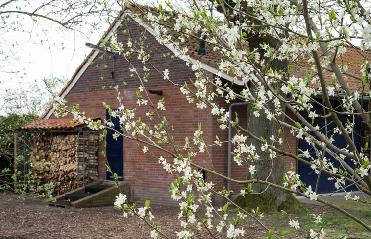 Natuurhuisje in Lievelde